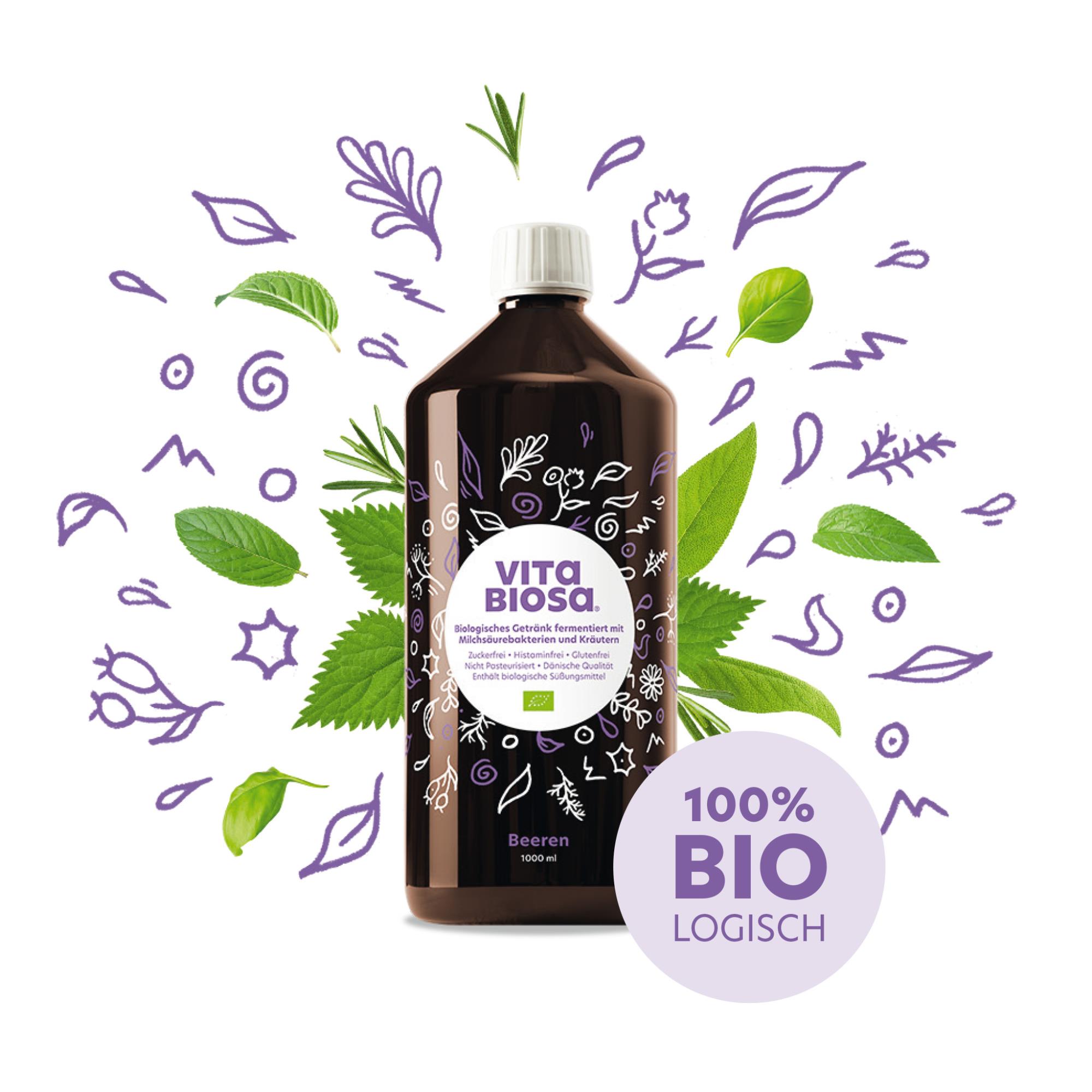 Vita Biosa Beeren 1L Milchsaeurebakterien kaufen front
